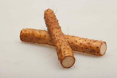 《零号奴隶X》明年2月21日发售 适合鬼泣玩家